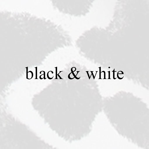 Black & White Capitanioretta